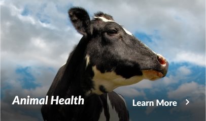 Animal Health - Learn More